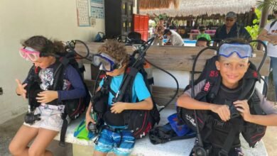 Formación pionera en Cozumel: Jóvenes restauradores de arrecifes y manglares